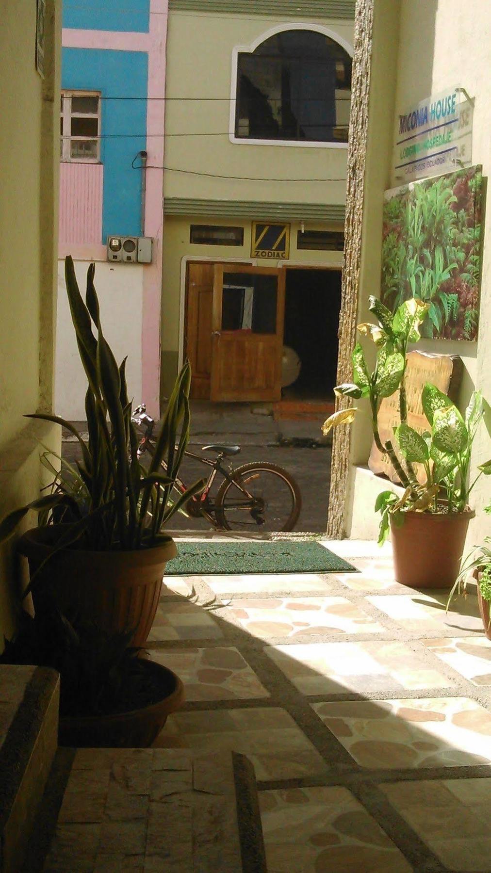 Hostal Miconia Puerto Ayora  Eksteriør billede